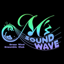 mssoundwave.com favicon